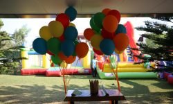 Renkli Uçan Balon Süslemeleri Çeşme Doğum Günü Organizasyonu