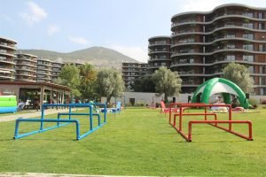 Survivor Parkuru Kiralama İzmir
