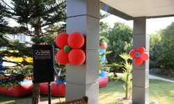 Papatya Balon Süsleme Doğum Günü Organizasyonu Çeşme
